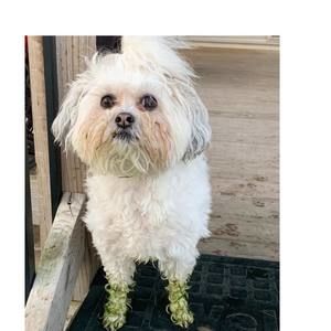 Meet your Posher, Lori